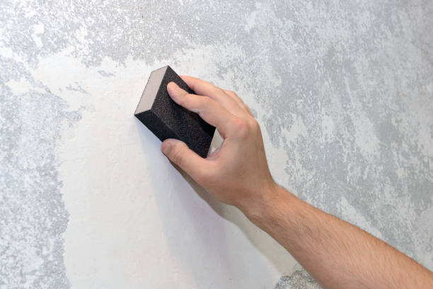 Trusted Garfield, TX Mold Removal Experts