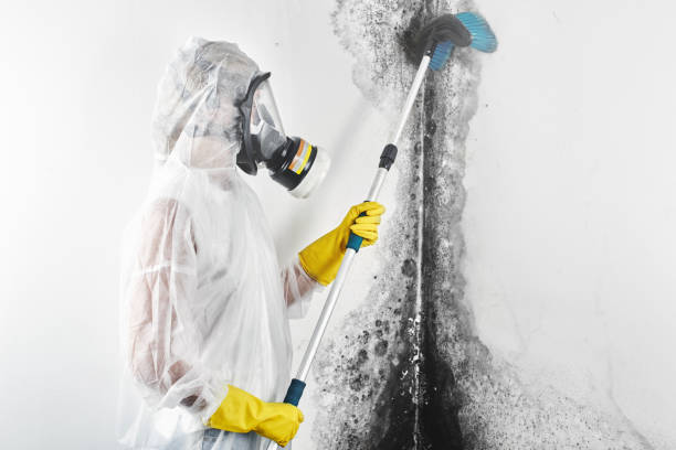 Best Post-Remediation Verification Testing  in Garfield, TX