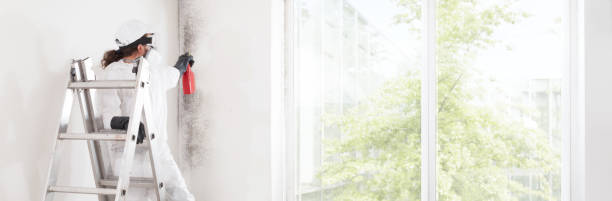Best Mold Removal for HVAC Installations  in Garfield, TX